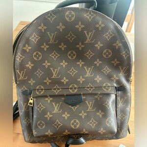 Louis Vuitton Palm Springs MM